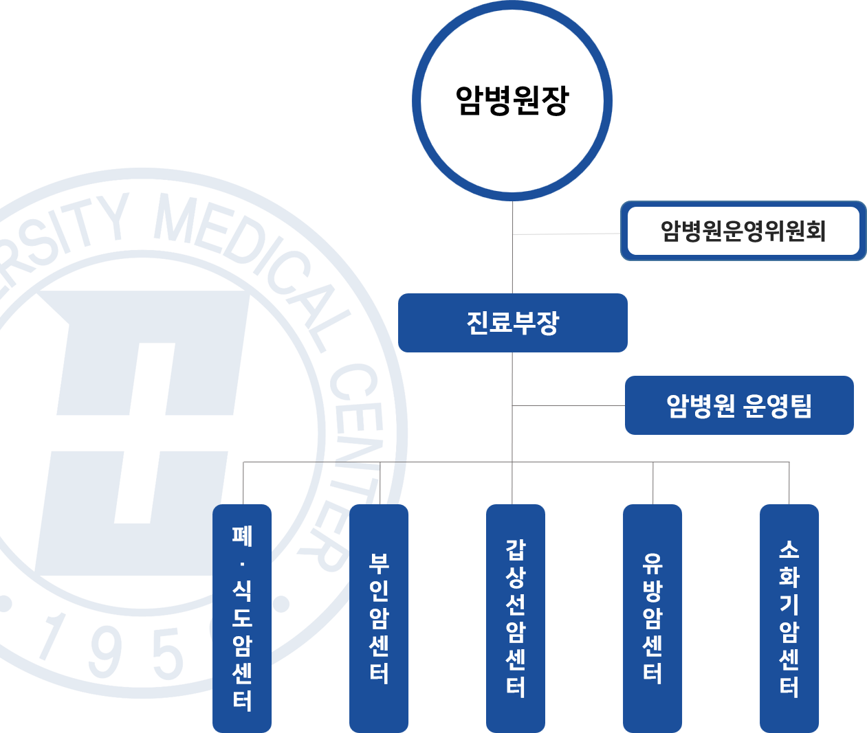 조직도